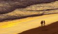 Beach Hotel - Wilderness